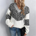 Odelia | Leopard Print Sweater with V-Neck for Women